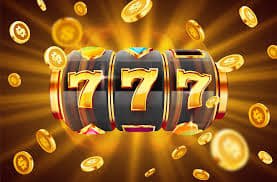 wynn23