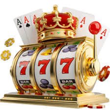 wynn23